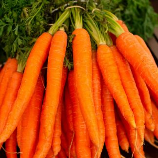 Carrot
