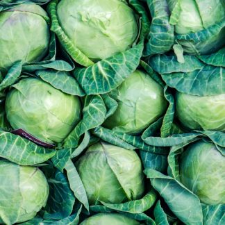 Cabbage