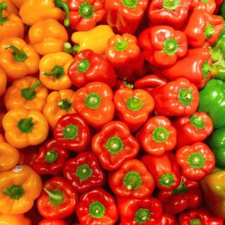 Bell Pepper